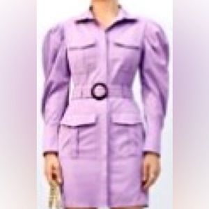 SHEIN Collard Leg-of-Mutton Sleeve Pocket front O-ring Belted Dress